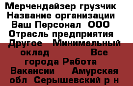 Мерчендайзер-грузчик › Название организации ­ Ваш Персонал, ООО › Отрасль предприятия ­ Другое › Минимальный оклад ­ 40 000 - Все города Работа » Вакансии   . Амурская обл.,Серышевский р-н